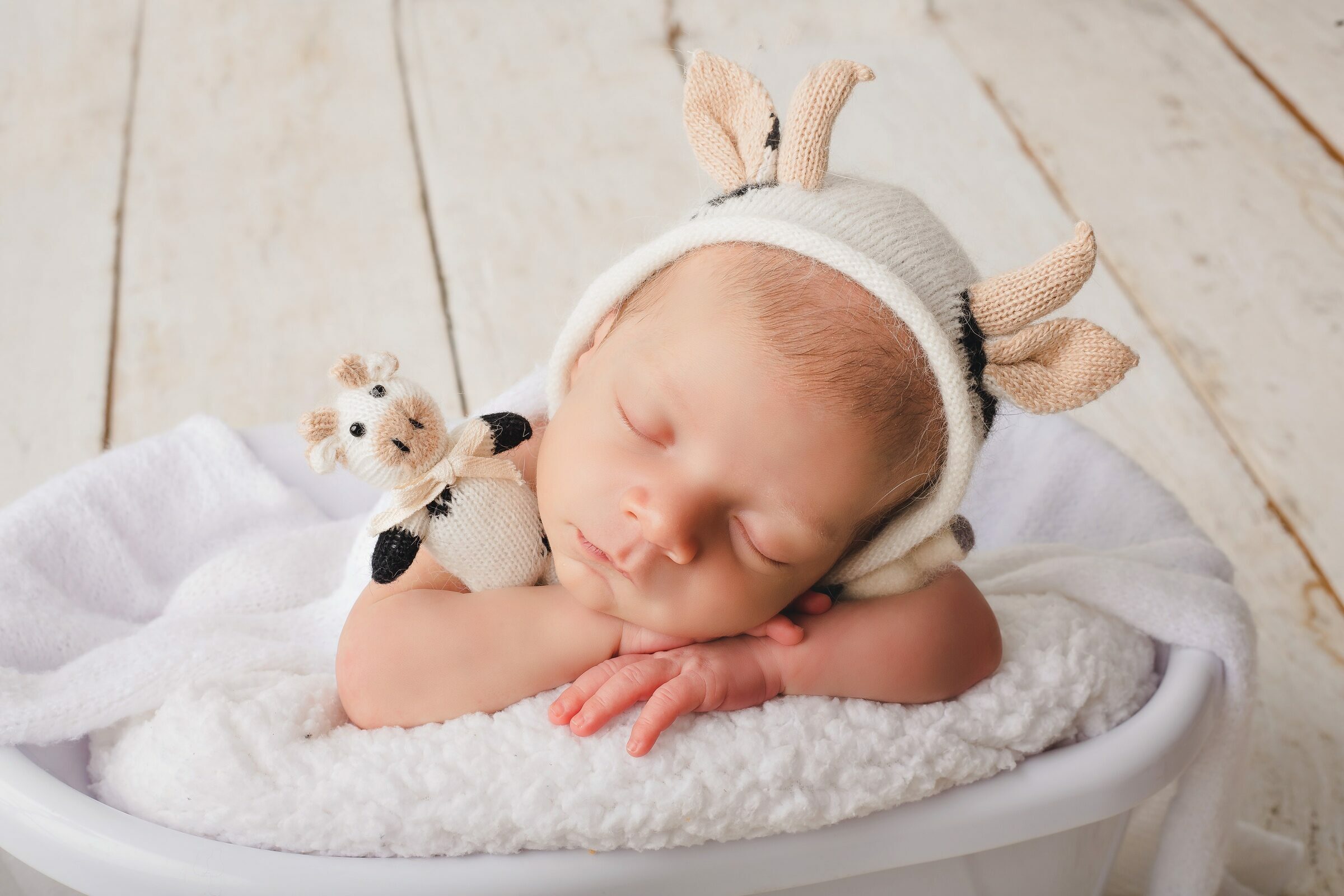 Foto de Juliana Moreira 11